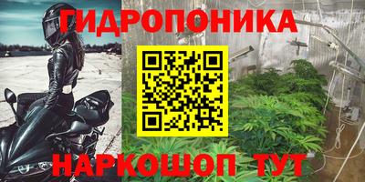 дурь Абакан