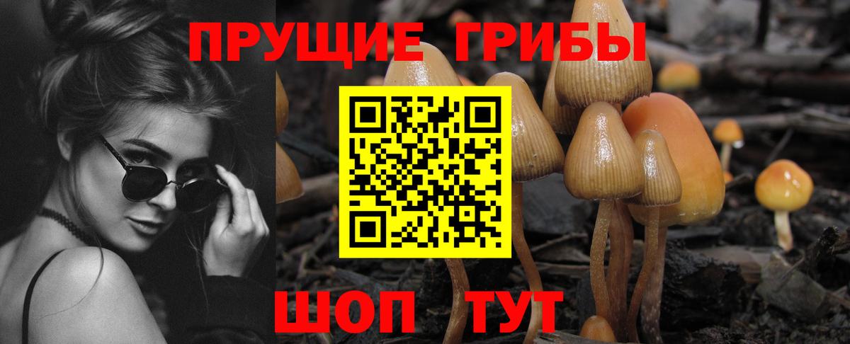 что такое наркотик  Галлюциногенные грибы мухоморы  Вход с VPN  Анжеро-Судженск 