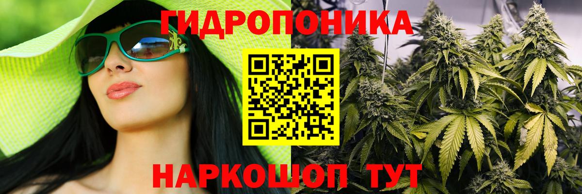 Шишки марихуана гибрид Анжеро-Судженск